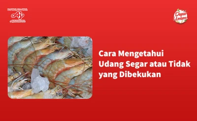 Cara Mengetahui Udang Segar atau Tidak yang Dibekukan